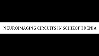 STAHLS  CH 4  PART 24  NEUROIMAGING CIRCUITS IN SCHIZOPHRENIA psychiatrypharmacology [upl. by Lauer]