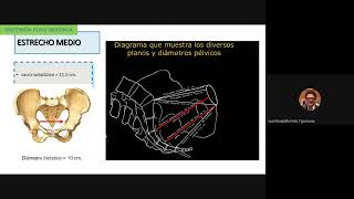 OBSTETRICIA  Pelvimetría [upl. by Cooley363]