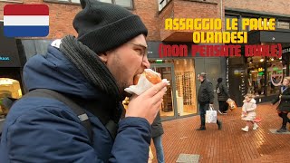 CUCINA TIPICA NON OLANDESE A EINDHOVEN  vlog Olanda  Paesi Bassi ep 1 [upl. by Asamot]