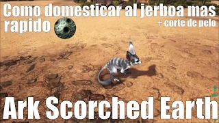 Como domesticar rapido al jerboa mas corte de cabello  Ark Survival Evolved  Gameplay Español [upl. by Aniretake]