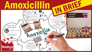 Amoxicillin 500mg Capsule What is Amoxicillin Used For Dosage Contraindications amp Precautions [upl. by Egroeg]