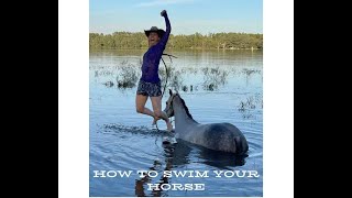 How To Swim Your Horse [upl. by Geer]