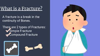 Bone Injury and Bone Repair  Fracture Types  Healing of Fracture  Novice Medic [upl. by Burrill954]