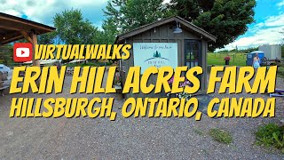 Exploring Erin Hill Acres Farm in Hillsburgh Ontario Canada [upl. by Chaffin]