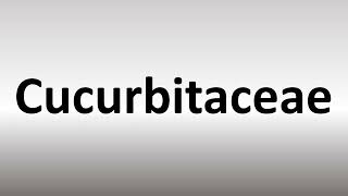 How to Pronounce Cucurbitaceae [upl. by Brace575]