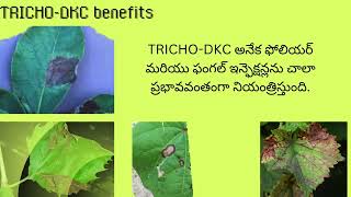 TRICHODKC preparation usage and Benefits in Telugu [upl. by Cirederf]