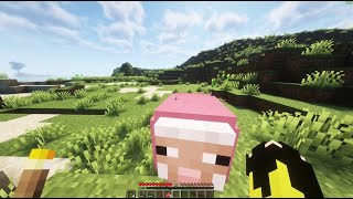 Minecraft S3 B1  Pembe Koyun [upl. by Attenra603]