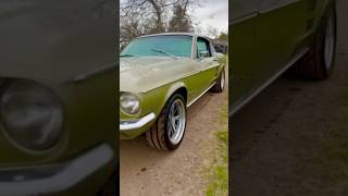 5 FASTBACK FOR SALE STOCKTON CA 2099490494 fastbackmustang fastback [upl. by Eatnohs]