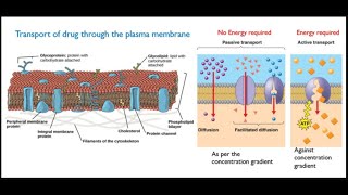 Pharmacokinetics [upl. by Oir]