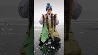 Great morning of walleye fishing on Little Bay de Noc [upl. by Idaline]