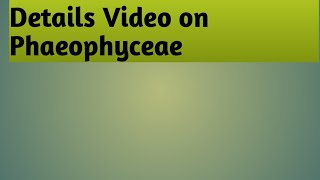 Neet 2025 Details Video on Phaeophyceae [upl. by Samuele]