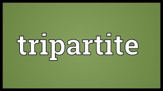 Tripartite Meaning [upl. by Anahir374]