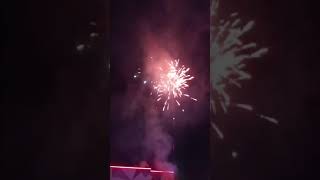 Damodar City Labasa Fireworks 2024 [upl. by Auhsuj382]