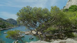 MEDITERRANEO – Les Calanques de Marseille entre mer cristalline et paysages grandioses [upl. by Eivod]