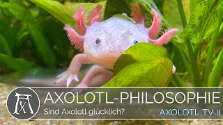 Sind Axolotl glücklich [upl. by Arzed]