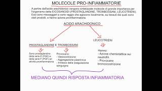 CORSO DI BIOCHIMICA  LEZIONE 37 DI 47  BIOSINTESI ACIDI GRASSI  PROSTAGLANDINE ETC  PARTE 5 [upl. by Carin]