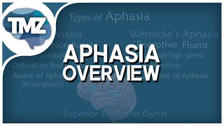 APHASIA OVERVIEW  Types of Aphasia Brocas Wernickes Amnestic Conductive and Mixed [upl. by Omoj]