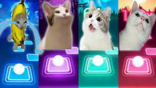 Banana Cat vs Vibing Cat vs Happy Happy Happy Cat vs Chipi Chipi Chapa Chapa Cat Tiles Hop [upl. by Cohlier301]