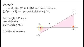 Vidéo 8  Thalès et agrandissement  réduction [upl. by Moor249]