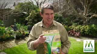 How to grow a thick lush and healthy lawn using Munns Professional Lawn Fertilisers  Kim Syrus [upl. by Aleron]