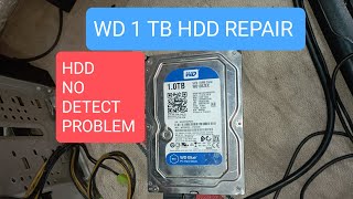 wd 1tb hdd not detected  western digital 1tb hdd [upl. by Phalan]