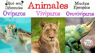 🐝Animales Ovíparos Vivíparos y Ovovivíparos🐠 Fácil y Rápido  BIOLOGÍA [upl. by Assirok]