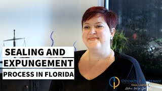 How to Seal or Expunge Florida Criminal Record  Sealing and Expungement Process in Florida [upl. by Oker769]