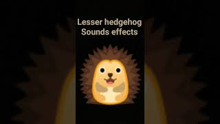 lesser hedgehog sounds effects [upl. by Zubkoff]