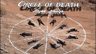 كورتە فیلمی بازنەی مەرگ  CIRCLE OF DEATH لە شوێنێكی بێدەنگ سەیری بكەو چێژی لێ وەرگرە [upl. by Glad]