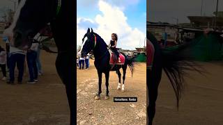 Dhruhi Horse 🐎 Riding  horse horses ghoda horseriding horselover ytvideo shortsfeed dhruhi [upl. by Nahej791]