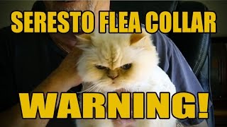 Seresto Flea Collar Warning [upl. by Ellekcir638]