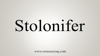 How To Say Stolonifer [upl. by Hoopen]