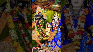 Jai Radhe Radhe gobindo gobinda🙏♥️ radhakrishanbhajan bhajan kirtanbangla divotional shorts [upl. by Klimesh771]