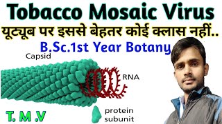 TMV  Tobacco Mosaic Virus  BSc 1st year botany  by Prahalad sir [upl. by Ttereve]