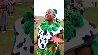 UMEMULO KABUHLE SITHOLE africa african zulu traditional [upl. by Tema]