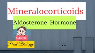 Mineralocorticoids Aldosterone Hormone [upl. by Nnorahs296]