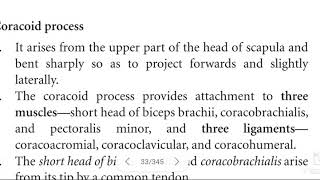 Coracoid process of scapula [upl. by Cadman]