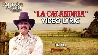 Ramon Ayala  La Calandria  VIDEO LYRIC OFICIAL [upl. by Aerdno]