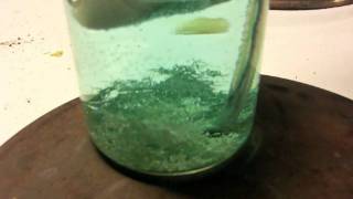 Silver refining through eletrolysis [upl. by Christenson179]