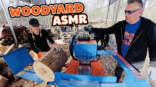 Firewood From Every Angle  Ultimate Woodyard ASMR [upl. by Arehsat]