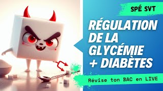 Révisions BAC spé SVT  GLYCÉMIE [upl. by Mou]