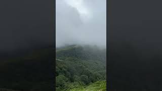 Matsana mausam h viralvideo love viralreels song nature naturephotography [upl. by Enecnarf]