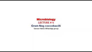 microbiology lecture 4 Gram negative coccobacilli [upl. by Chalmers]