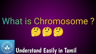 What is Chromosome [upl. by Roselle4]