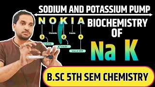 Biochemistry of Sodium and Potassium  Sodium Potassium Pump  bsc 5th semester chemistry [upl. by Imena]