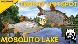 Common Roach Trophy Hotspot Mosquito Lake Russian Fishing 4 [upl. by Peatroy]