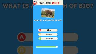 Synonym of big english vocabulary quiz [upl. by Amees]