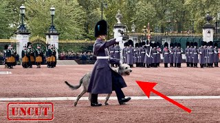 The ENTIRE Buckingham Palace ‘Changing of the Guard ceremony’ FRONT ROW SPECIAL GUEST [upl. by Yun]