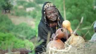 Musical Traditions in Mali  Now Money is More Important than Humanity [upl. by Apps856]