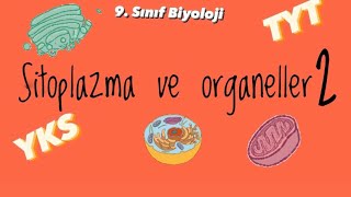 9sınıf Sitoplazma ve organeller 2 [upl. by Waverley]